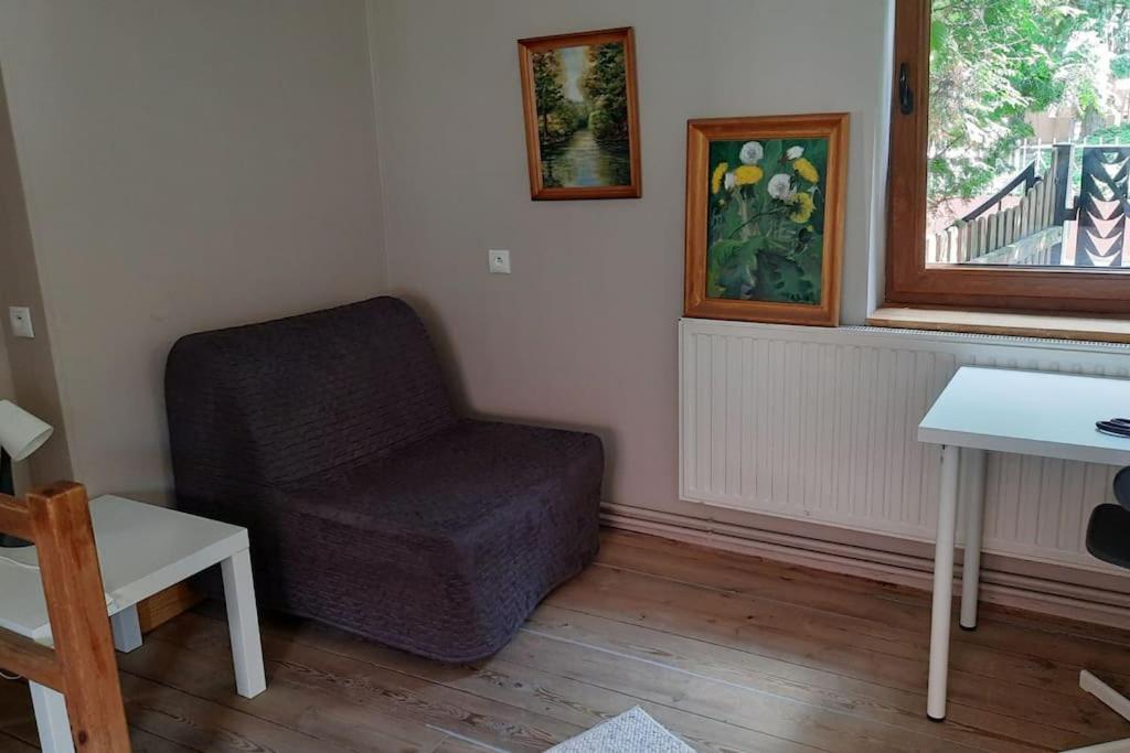 Apartament, Ogrodek, Przy Rynku! Zielona Góra Extérieur photo